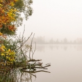 Simeckova_Podzimni mlha
