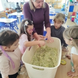 IMG_20251016_103748 (1)