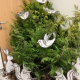 57404A1E-AB70-440B-B0CB-86C8FCBA4FE9