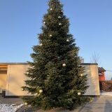 81DBC60F-5DD7-4E45-8554-CC406F920EF3