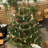 335C0268-8D20-4EF1-818F-2342E14552B8