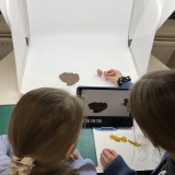 0B661667-A609-4BBF-92D2-51BDAE5E0991