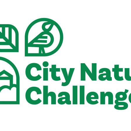 City Nature Challenge