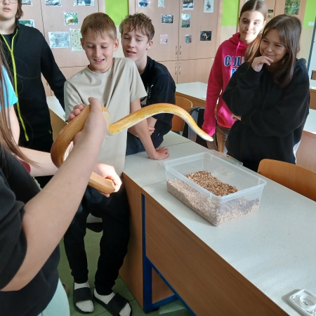 thumb_1780_10145.jpg