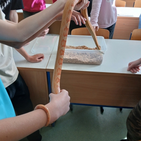 thumb_1780_10147.jpg
