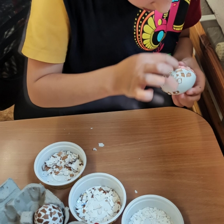 thumb_1781_10163.jpeg