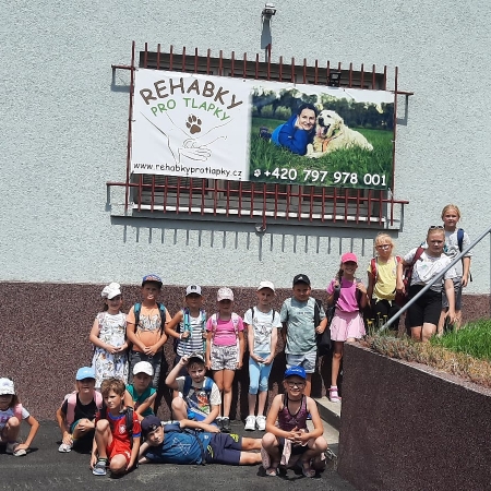 Návštěva v Rehabkách pro tlapky