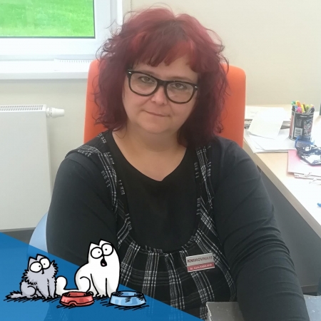 Elektronický katalog v 6. ročníku