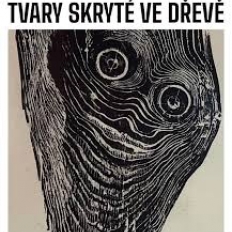 Nová výstava Heleny Salichové v galerii Gong v DOV