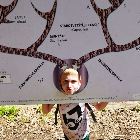 thumb_2188_12652.jpeg