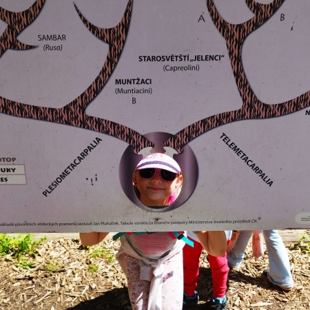 thumb_2188_12655.jpeg