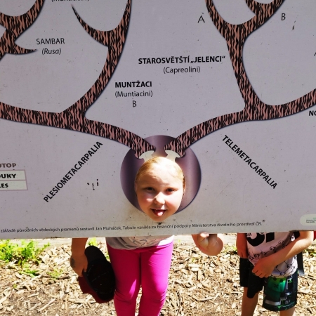 thumb_2188_12663.jpeg