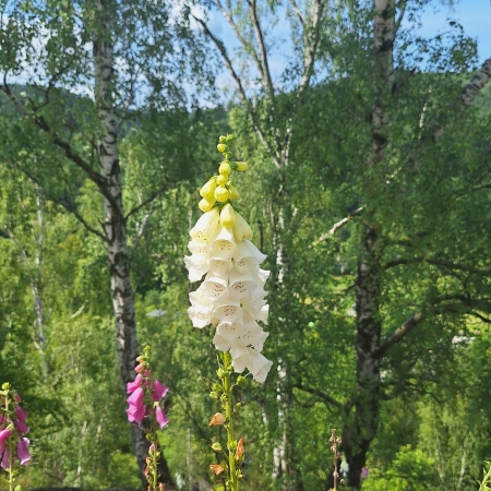 thumb_2209_12912.jpg
