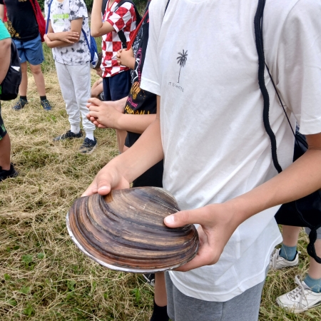 thumb_2215_12963.jpg