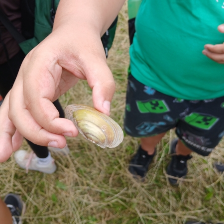 thumb_2215_12964.jpg