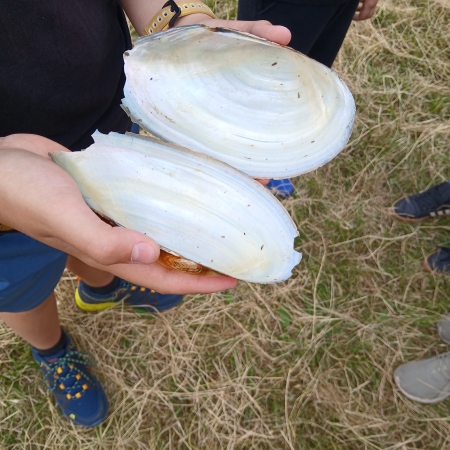 thumb_2215_12965.jpg