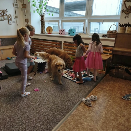 thumb_2245_13145.jpeg