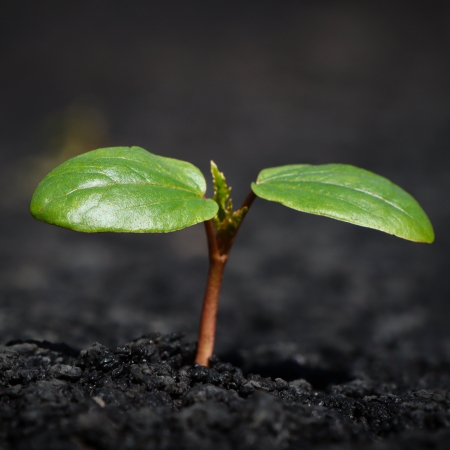 Přírodovědný sedmiboj