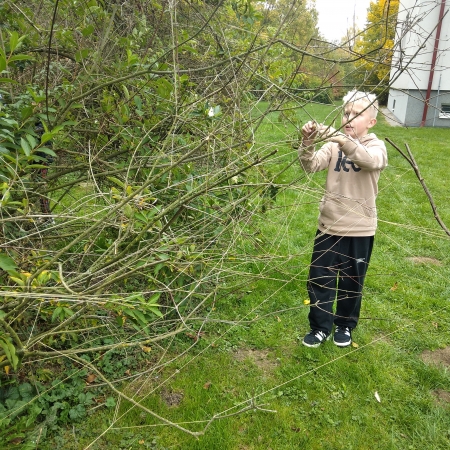 thumb_2265_13252.jpg