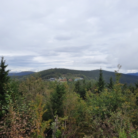 thumb_437_2419.jpg