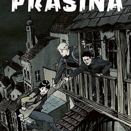 Prašina