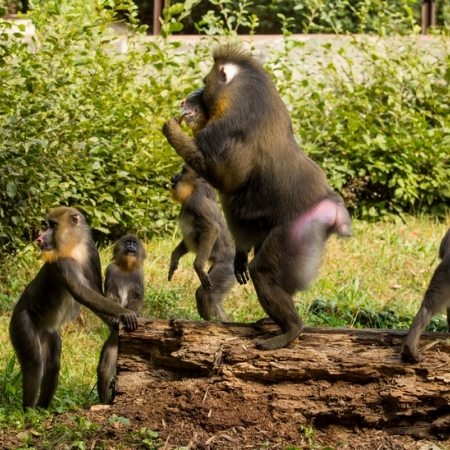 Návštěva ostravské ZOO